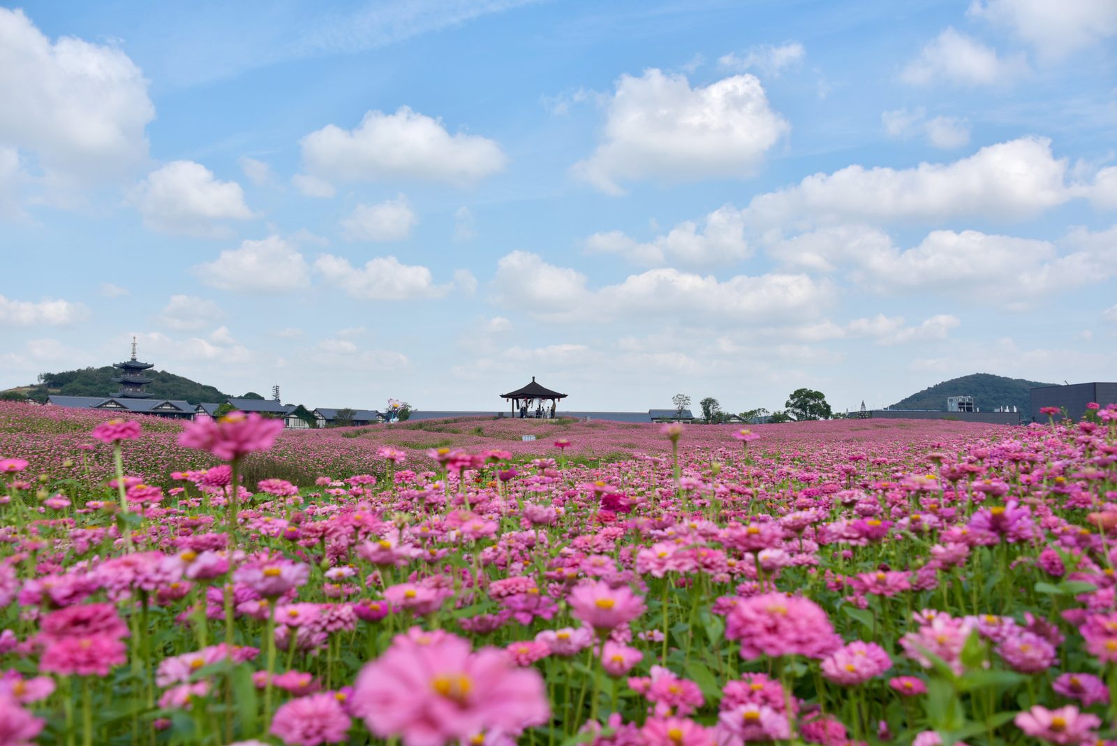 拈花湾